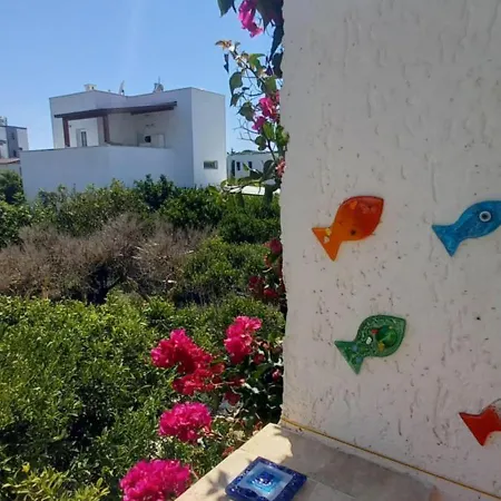 Rahat Ev Appartement *